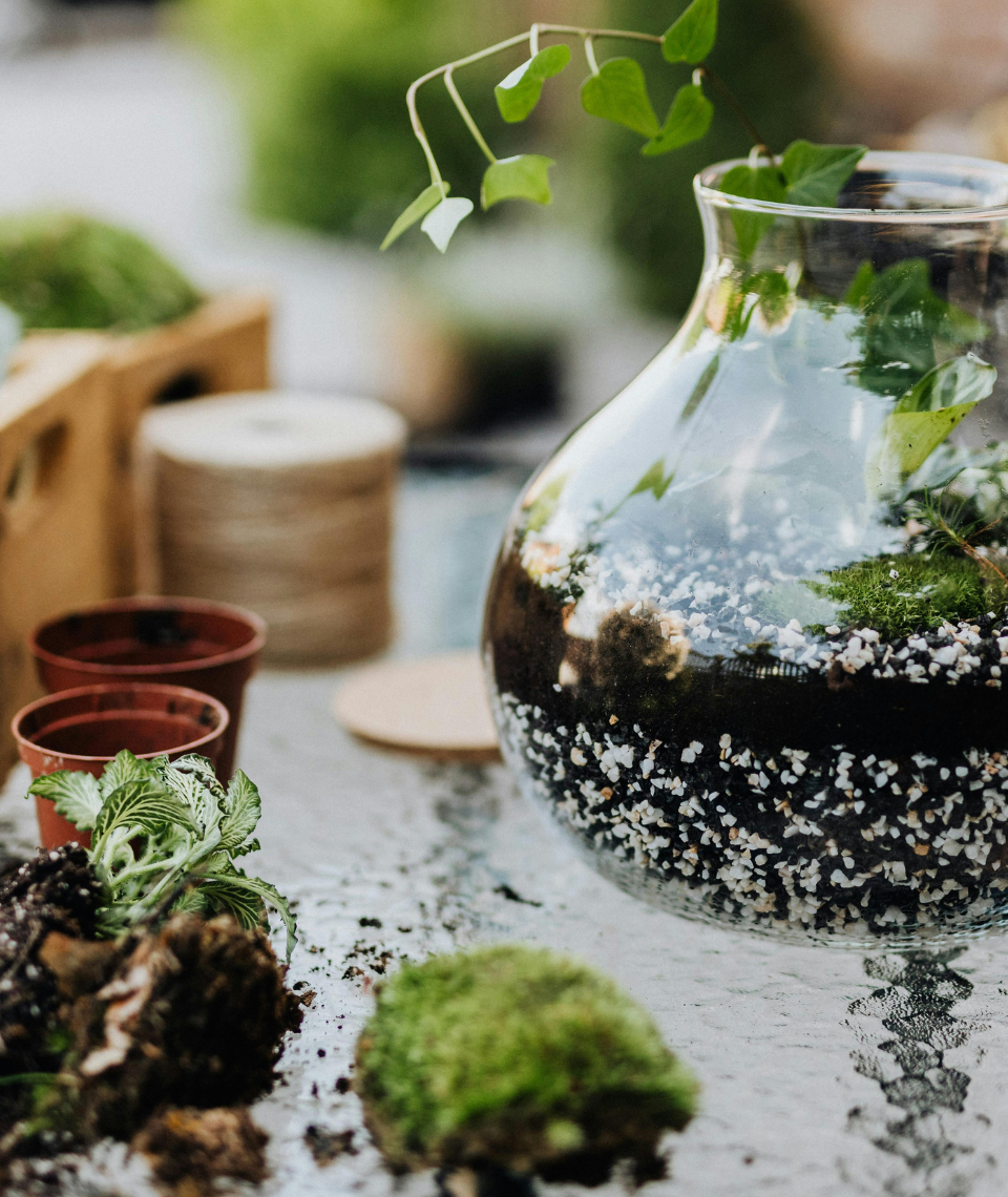 atelier-green-déco